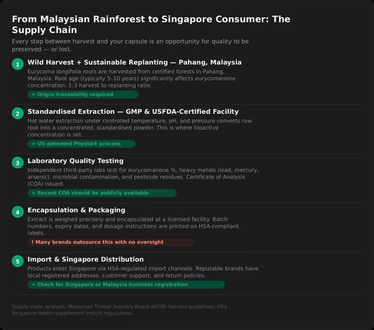 From Malaysia to Singapore: A Buying Guide to Tongkat Ali Supply Chains