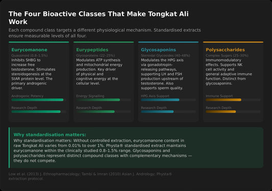 Standardised vs Raw Tongkat Ali: What Singapore Buyers Need to Understand