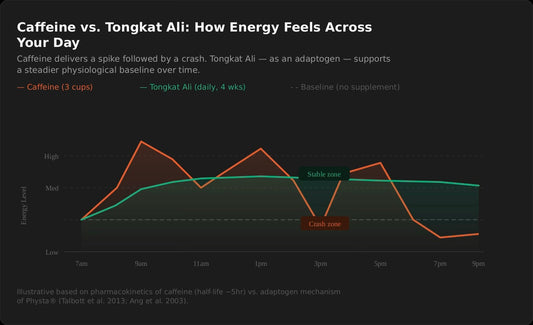 Tongkat Ali for Busy Singapore Professionals: Energy Without the Crash