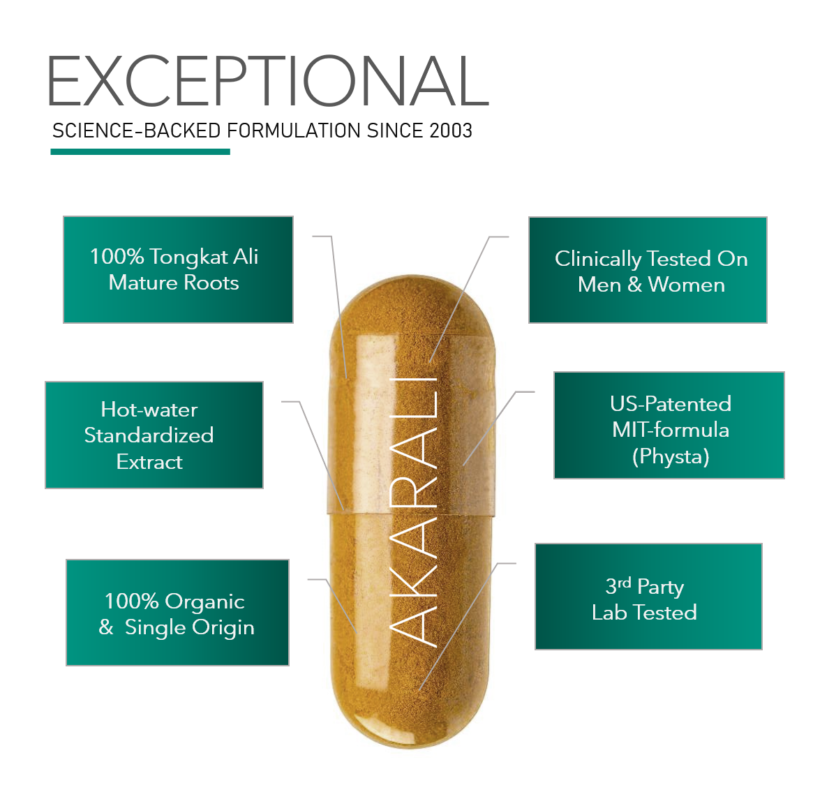 Tongkat Ali Supplement | 60 Capsules (200mg) | 100% Natural Root Extract, Standardized Hot Water |